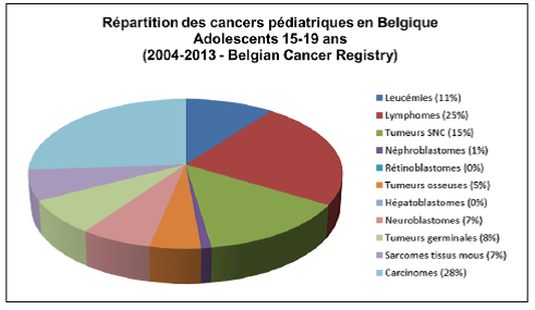 Répartition des cancers pédiatriques en Belgique - Adolescents, 2004-2013 (Adapté de "Belgian Cancer Registry, 2015")