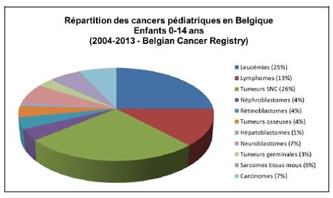 Répartition des cancers pédiatriques en Belgique - Enfants, 2004-2013 (Adapté de "Belgian Cancer Registry, 2015")